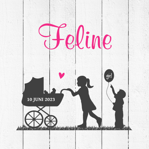 Geboortekaartje derde kindje meisje met silhouet