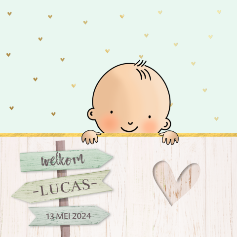 Geboortekaartje baby jongen met sloophout