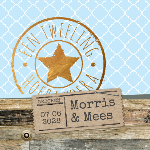 Stoer geboortekaartje jongens tweeling met goud look stempel