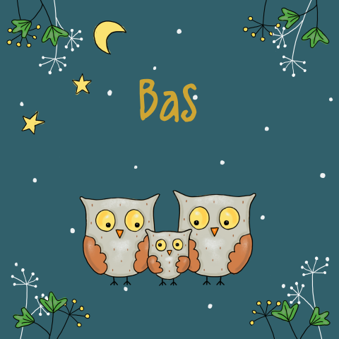 Geboortekaartje jongen uiltje winter