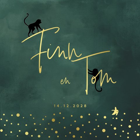 Jungle tweeling geboortekaartje jongens aapjes