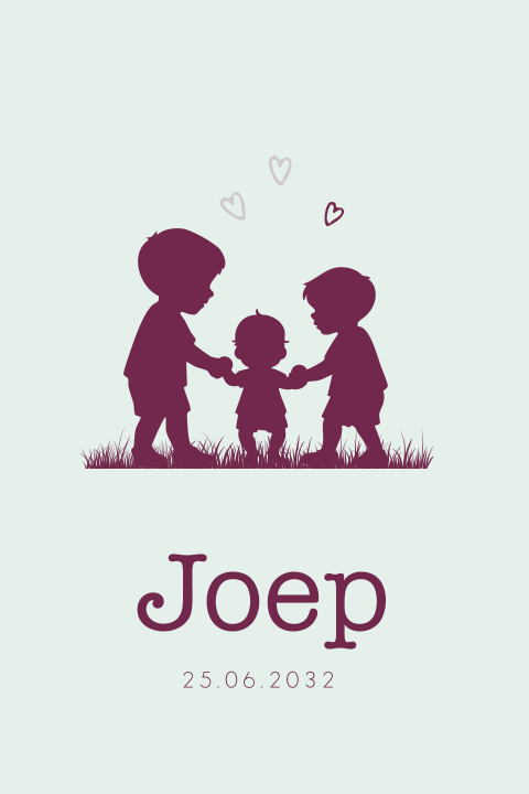 Geboortekaartje broers lopen buiten leren lopen silhouet