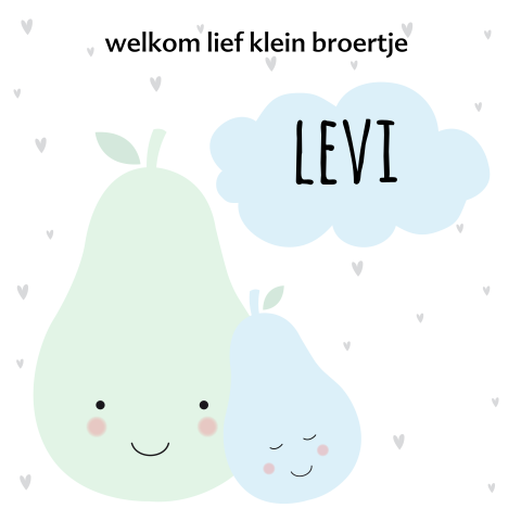 Geboortekaartje peer broertjes in trendy pastel