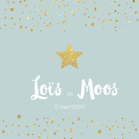 Modern tweeling geboortekaartje met goud look glitter