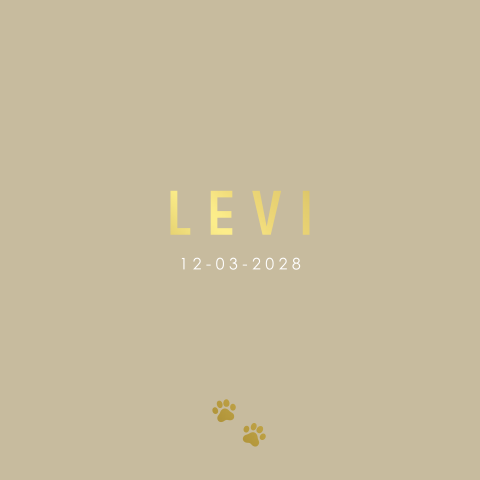 Geboortekaartje jongen met pootafdrukken in goudfolie