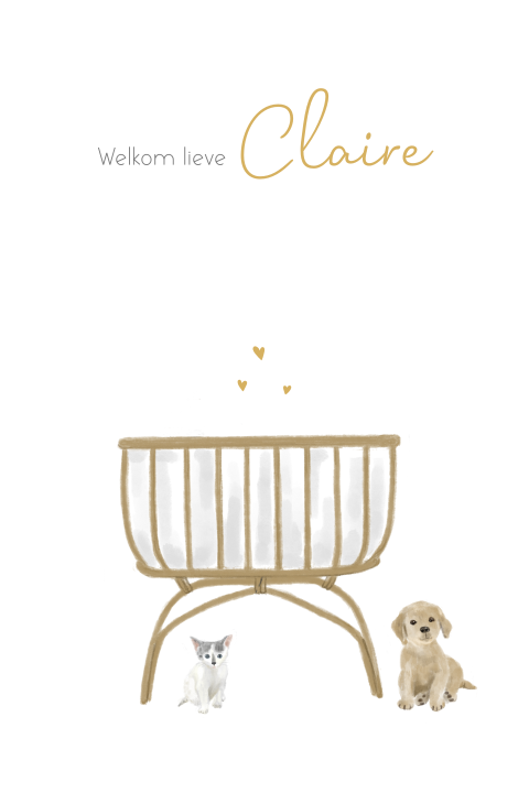 Warm geboortekaartje voor een meisje met wiegje, kat en hond