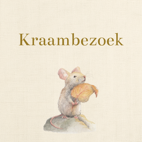 Beige kraamborrelkaartje met een muisje op een steen