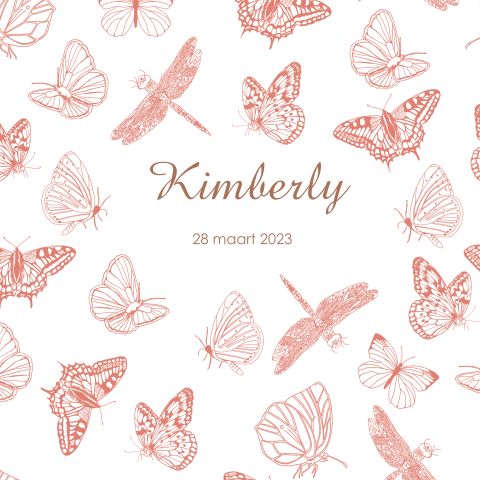 Geboortekaartje vlinders meisje