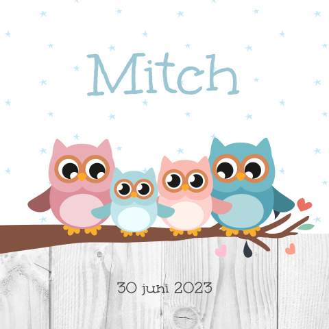 Geboortekaartje broertje met uiltjes en sterren