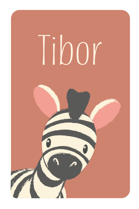 Unisex geboortekaartje met een zebra