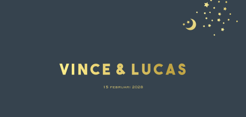 Tweeling hip geboortekaartje maan en sterretjes