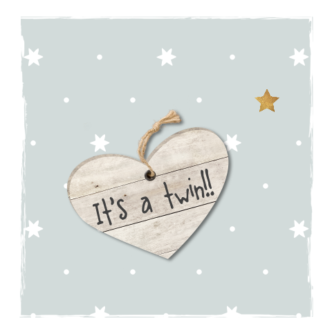 Lief mint groen geboortekaartje tweeling jongens
