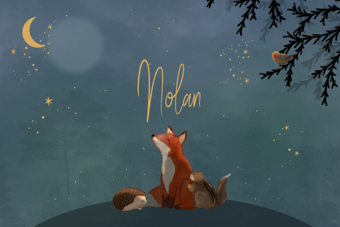 Memorybox winterliefde voor een jongetje met vos maan en sterren