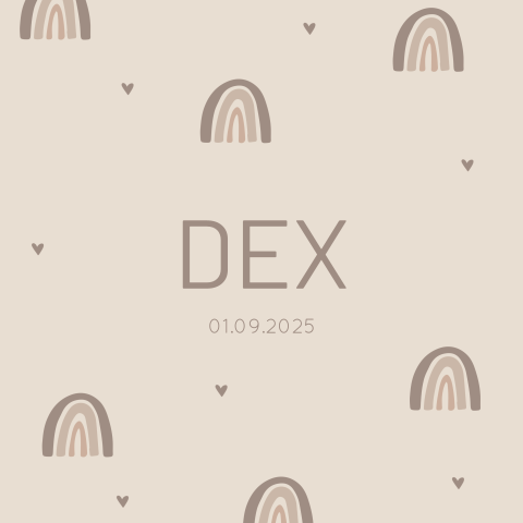 Geboortekaartje jongen bruine regenboogjes