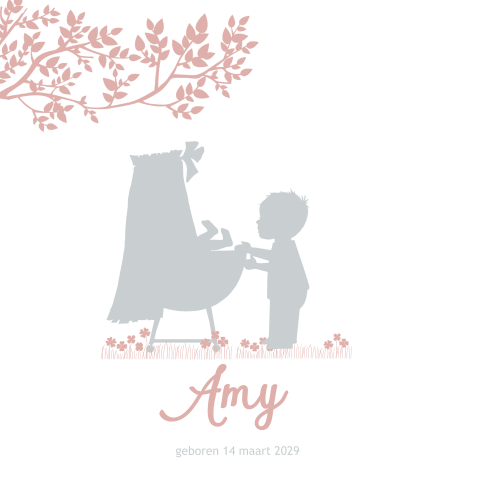 Lief geboortekaartje 2e kindje meisje met grote broer en wieg
