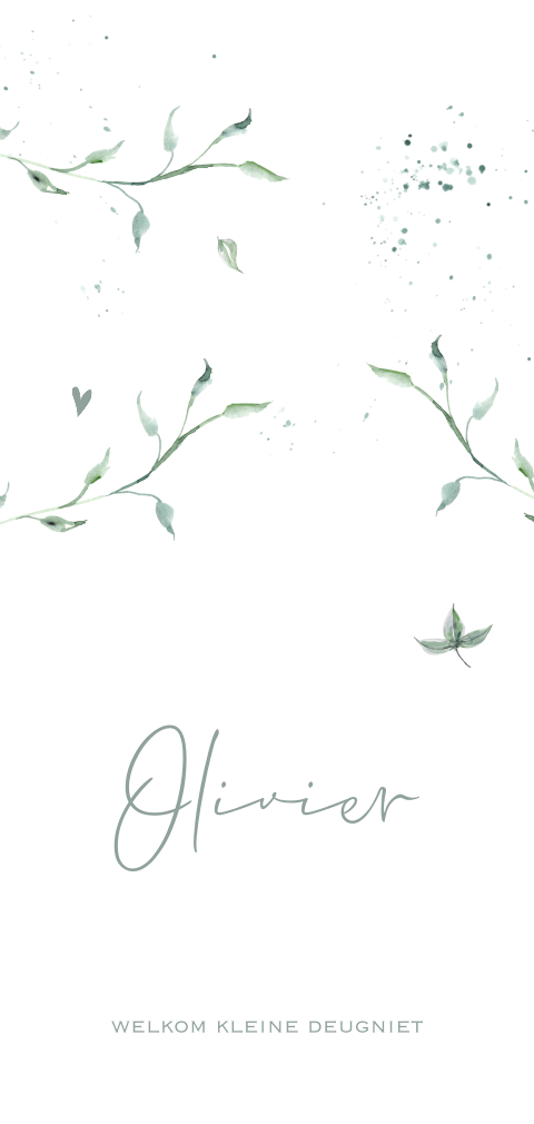 Lief geboorte kaartje jongen met takjes groen