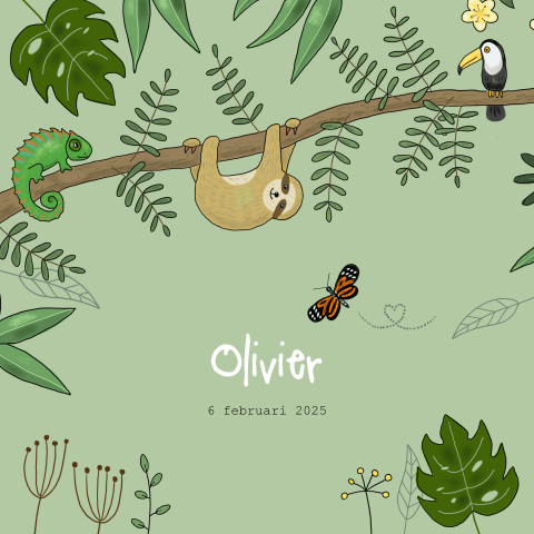Geboortekaartje jongen jungle, kameleon, luiaard en toekan