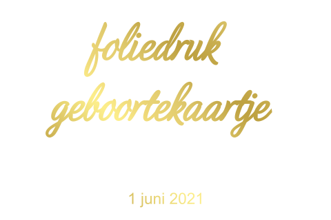 Blanco dubbel liggend geboortekaartje foliedruk enkelzijdig