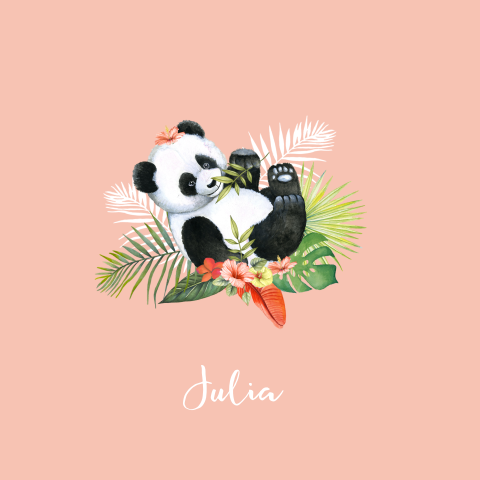 Geboorte pandabeertje meisje