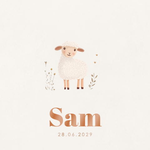 Geboortekaartje schaapje met takjes