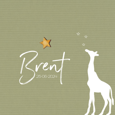 Geboortekaartje giraf jongen met echt houten sterretje