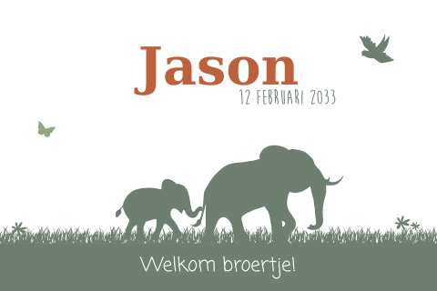 Hip babykaartje met olifantjes voor jongen