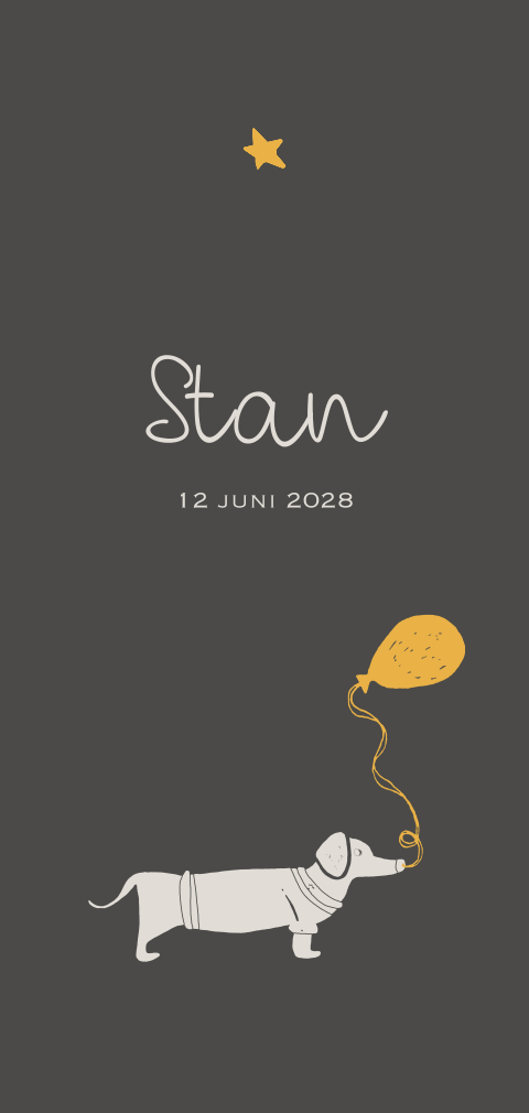 Hip geboortekaartje jongen hond teckel