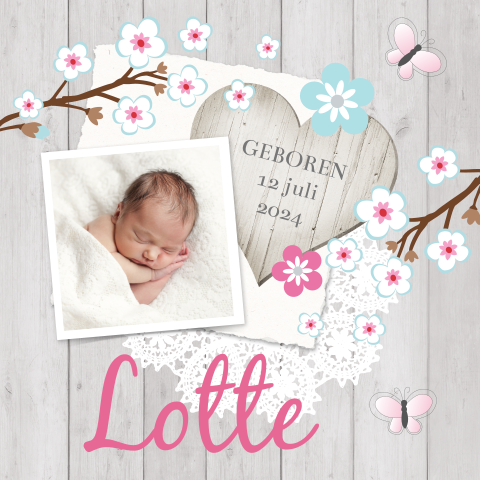 Romantisch scrapbook geboortekaartje met foto en vlinders