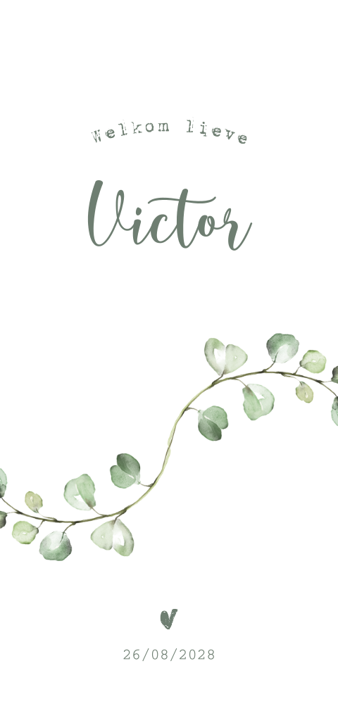 Geboorte kaartje jongen met eucalyptus blad