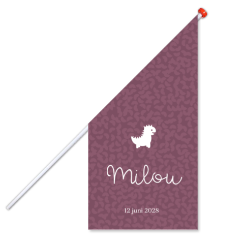 Geboortevlag meisje dino