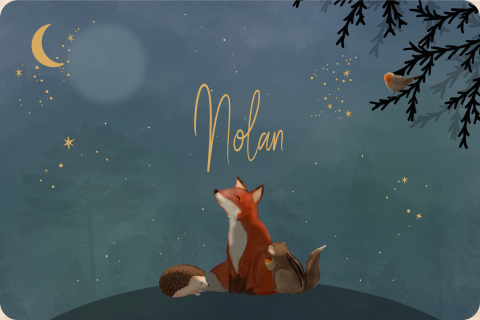 Memorybox winterliefde voor een jongetje met vos maan en sterren