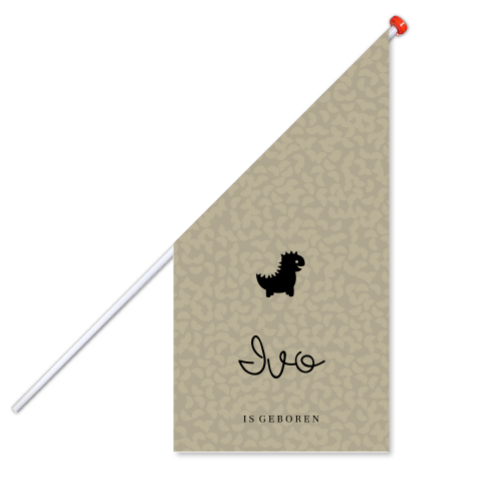 Geboortevlag aardetint patroon dino