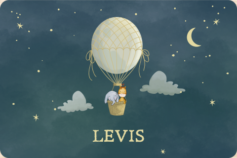 Memorybox winterliefde olifantje en giraf in luchtballon