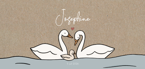 Schattig geboortekaartje met twee zwanen gedrukt op kraftpapier