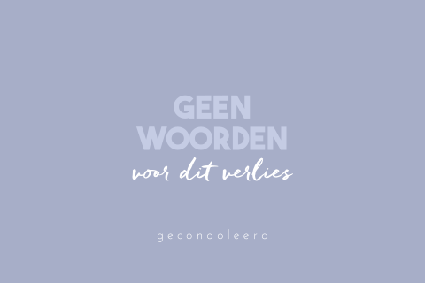 Condoleance wenskaart ‘Geen woorden voor dit verlies’