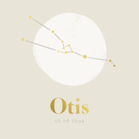 Geboortekaartje met sterrenbeeld Stier voor een jongen