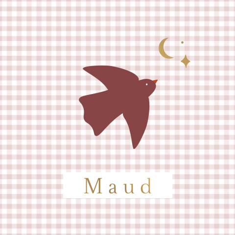 Geboortekaartje ruitje en boho vogel meisje