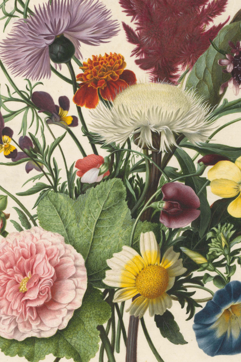 Mooie wenskaart met bloemen