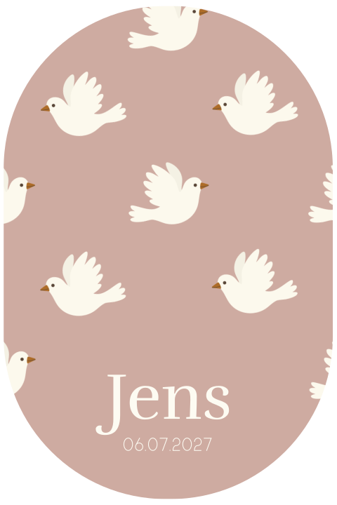 Ovaal geboortekaartje met vogels voor een jongen