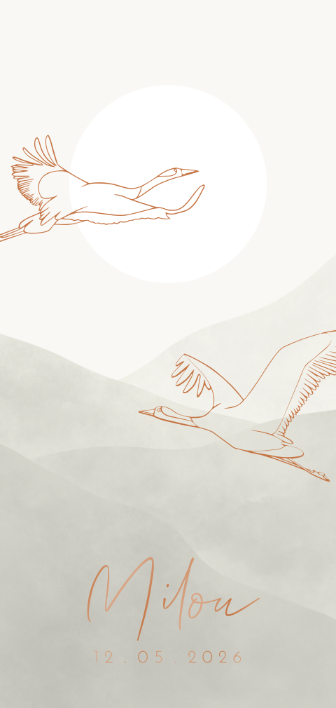 Geboortekaartje voor een meisje met kraanvogels
