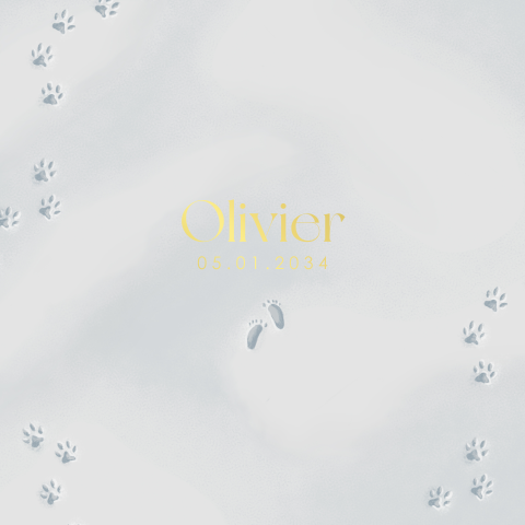 Geboortekaartje met voetstapjes en pootafdrukjes hond in de sneeuw