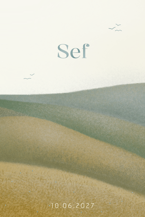 Geboortekaartje met berglandschap in minimalistische stijl