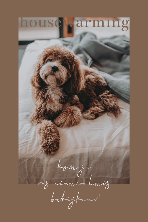 Uitnodiging housewarming fotokaart