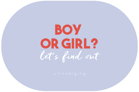 Uitnodiging gender reveal party ‘boy or girl’?