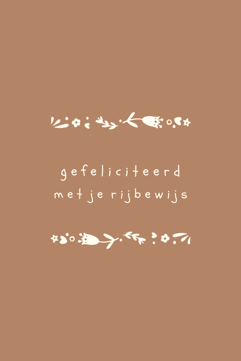 Wenskaart rijbewijs gehaald folklore