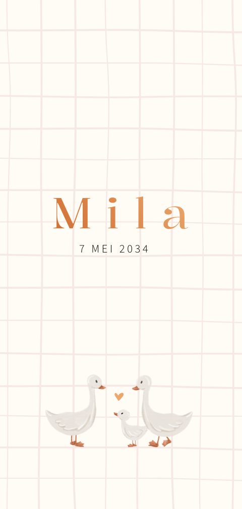 Geboortekaartje met ruitje en gansjes voor een meisje