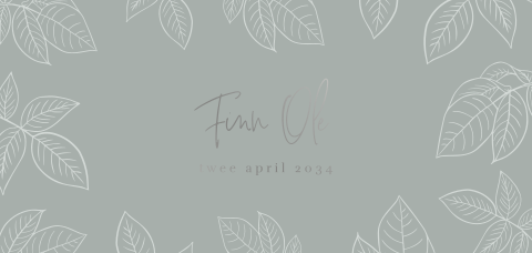 Geboortekaartje voor een jongen zilveren bladeren