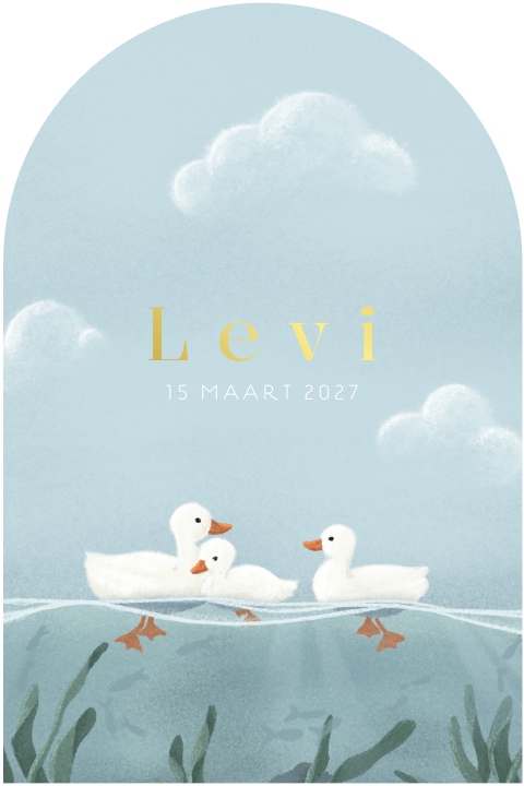 Geboortekaartje voor een jongen met eendjes en vissen in het water