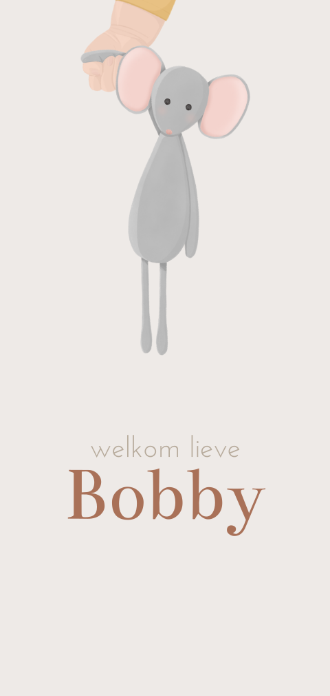 Geboortekaartje voor een jongen met knuffelmuis en babyhandje