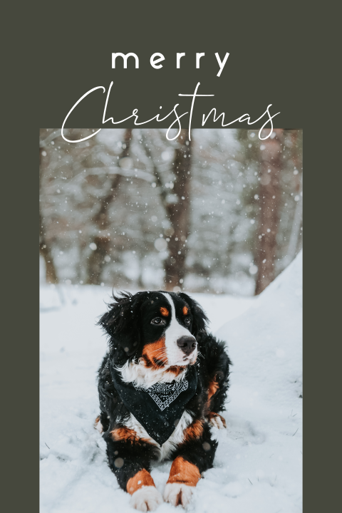 Kerstkaart merry christmas fotokaart
